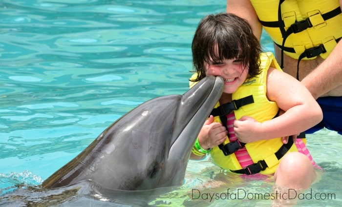 The Excitement of Playing My Dolphin Show Makes Her Smile