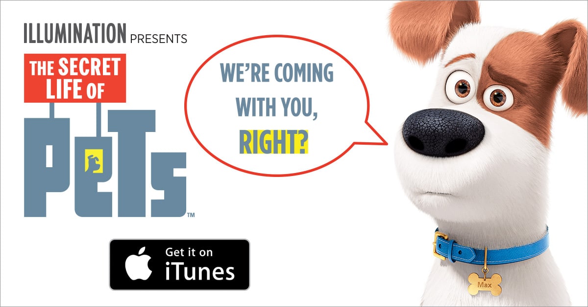 Max and Friends are Coming Home! The Secret Life of Pets on iTunes and More #TheSecretLifeOfPets