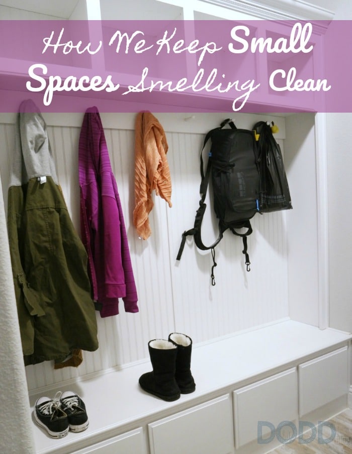 small spaces, How We Keep Small Spaces Smelling Clean and Fresh, Days of a Domestic Dad