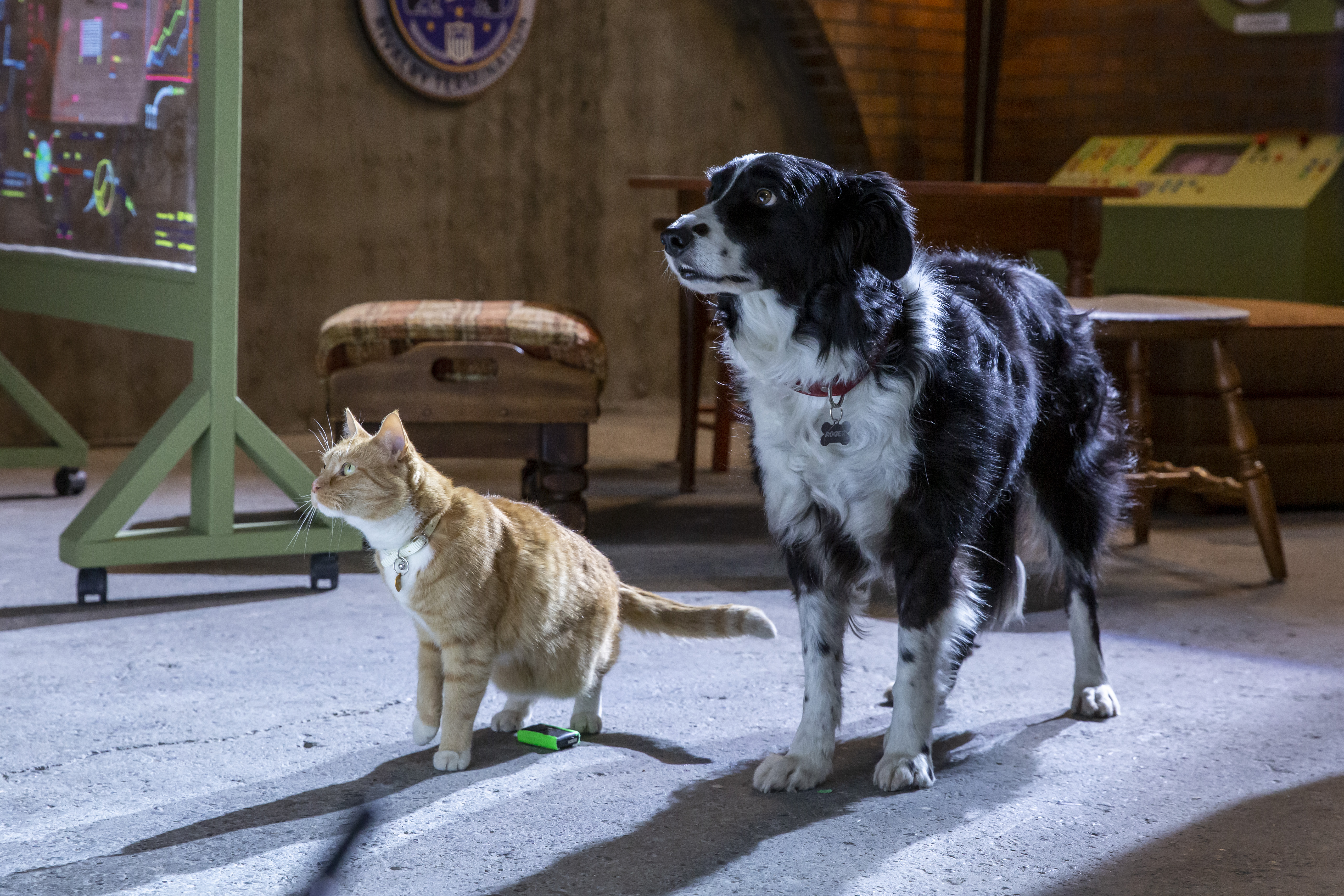 Cats & Dogs 3, Cats &#038; Dogs 3: Paws Unite!, Days of a Domestic Dad