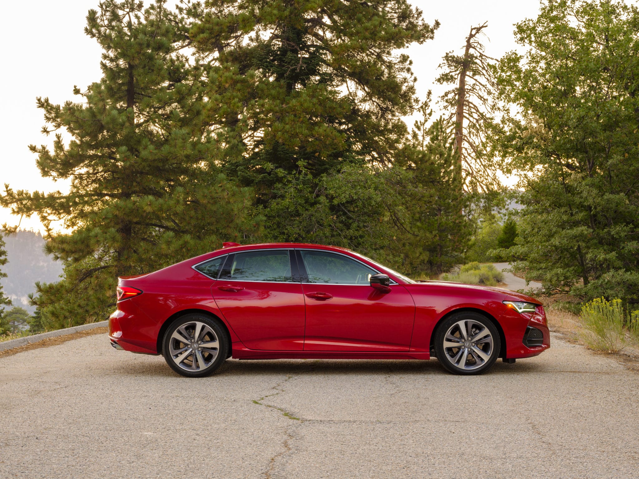 Red 2021 TLX parked in the middle of the road, with trees in the background