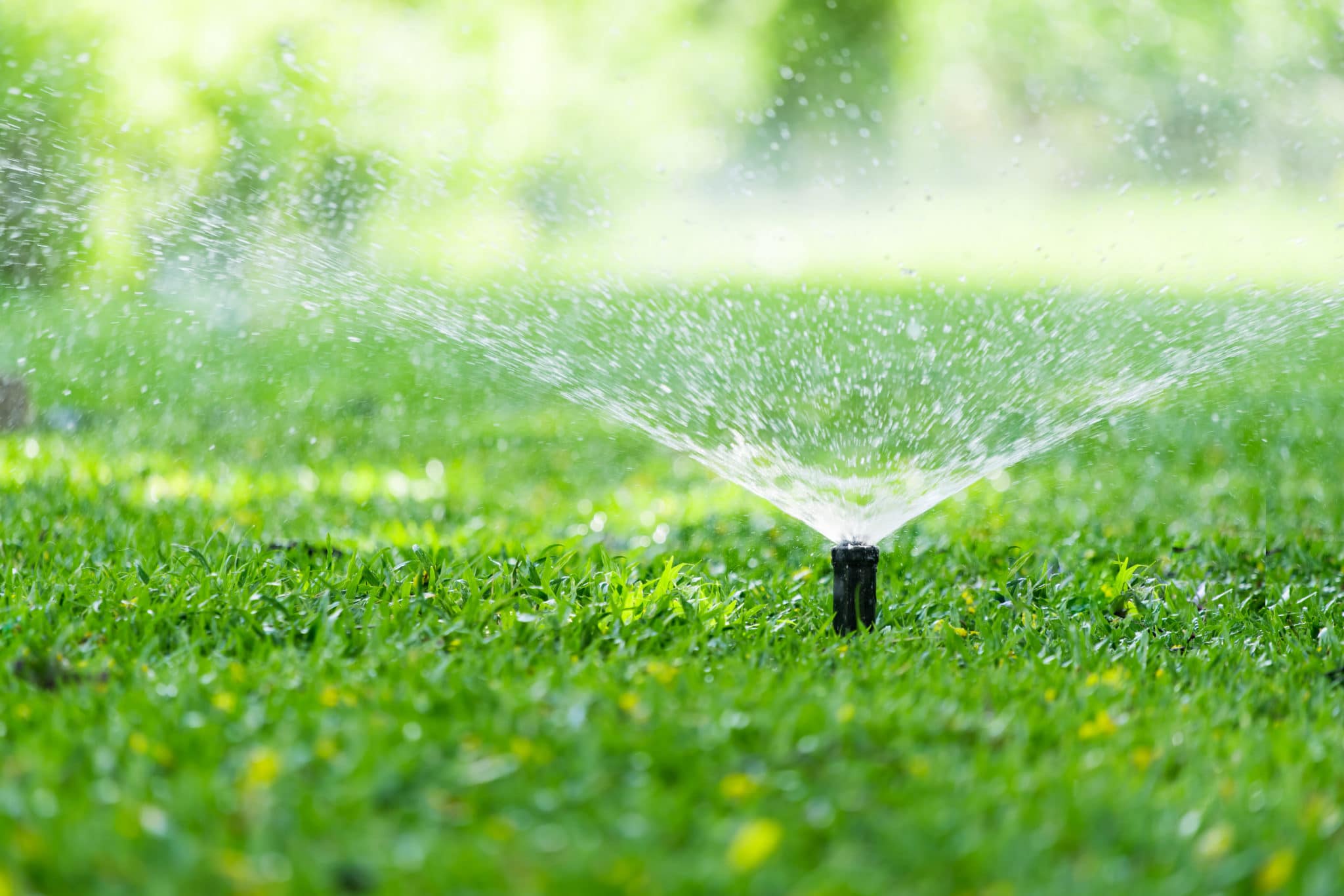 Setting Up Zones for Your Wifi Watering System