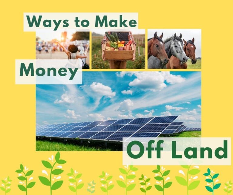 Ways to Making Money with Land