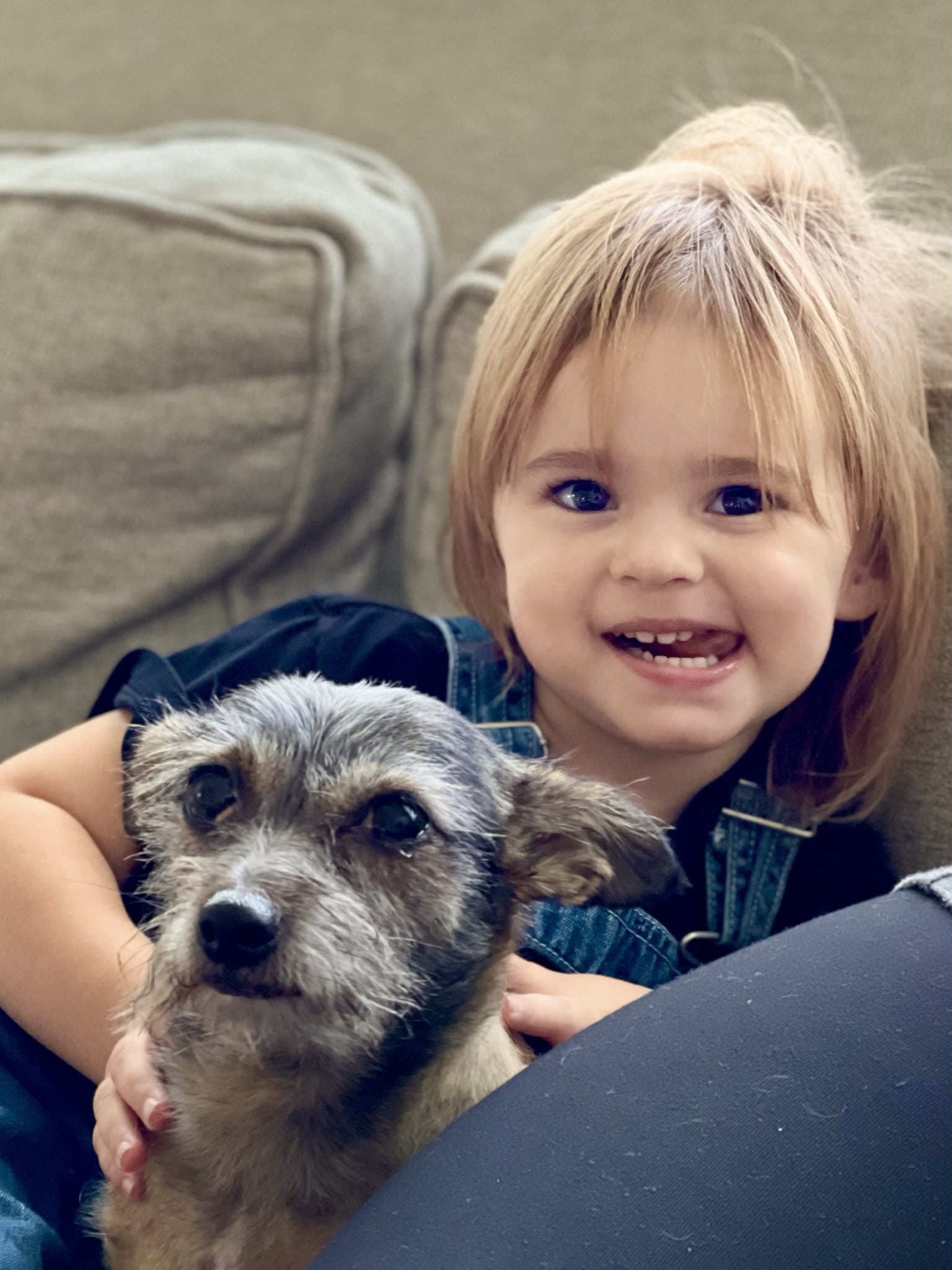 How To Choose The Right Pet For Your Kids