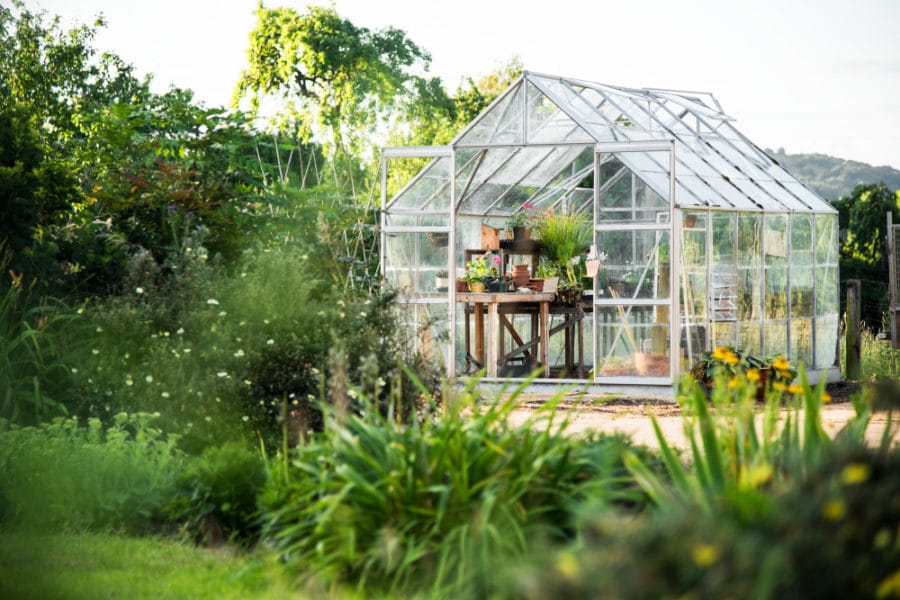 Things You Need To Consider When Buying A Greenhouse