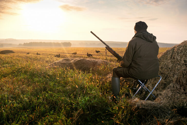Prepare for Your Next Hunting Trips With These Useful Tips