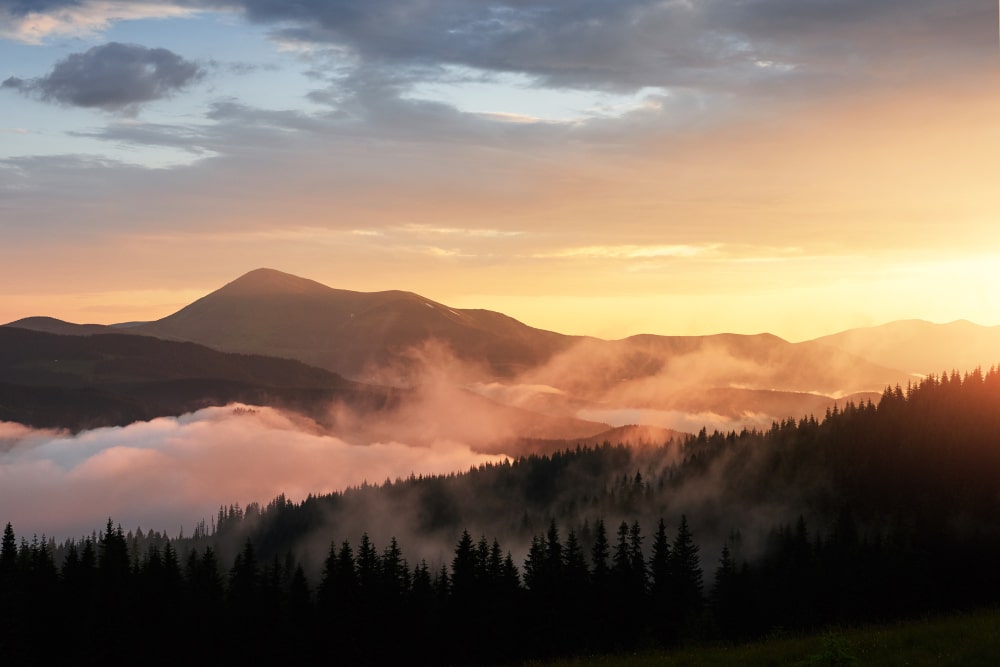 The Only Guide You Will Need for Visiting the Smoky Mountains