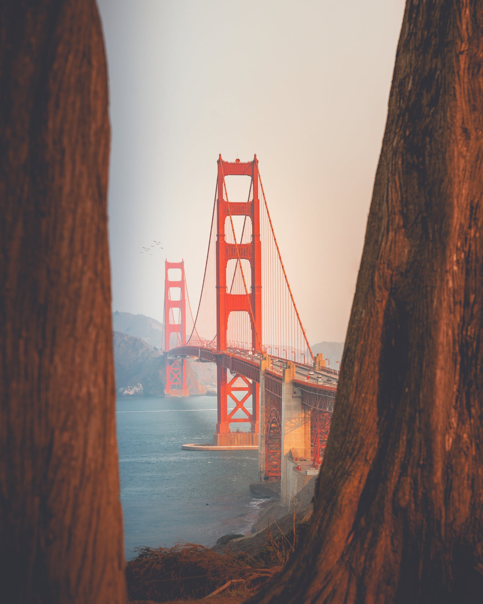 Why San Francisco Should Be Your Next Travel Destination