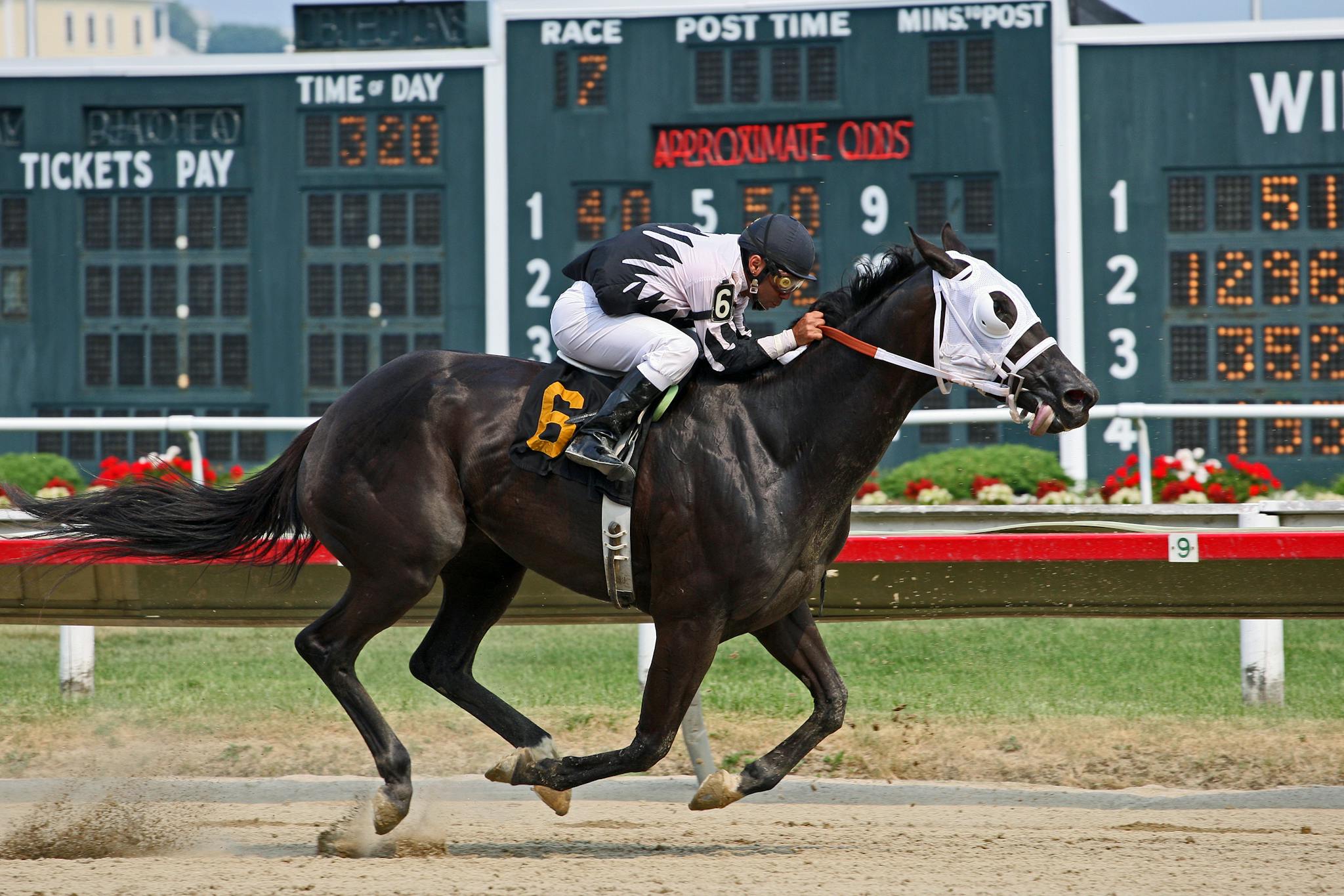 A thrilling horse race with a jockey in action, capturing the excitement of speed and competition.